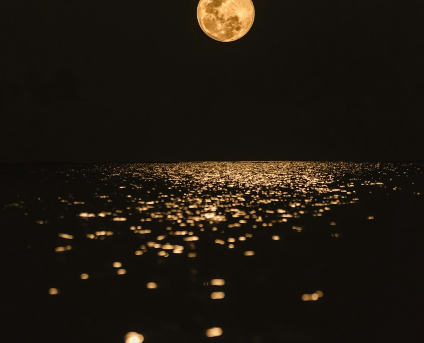 javardh-URLlQPnfG6Y-unsplash